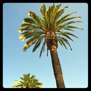 Meet your Posher, DvK Ogn